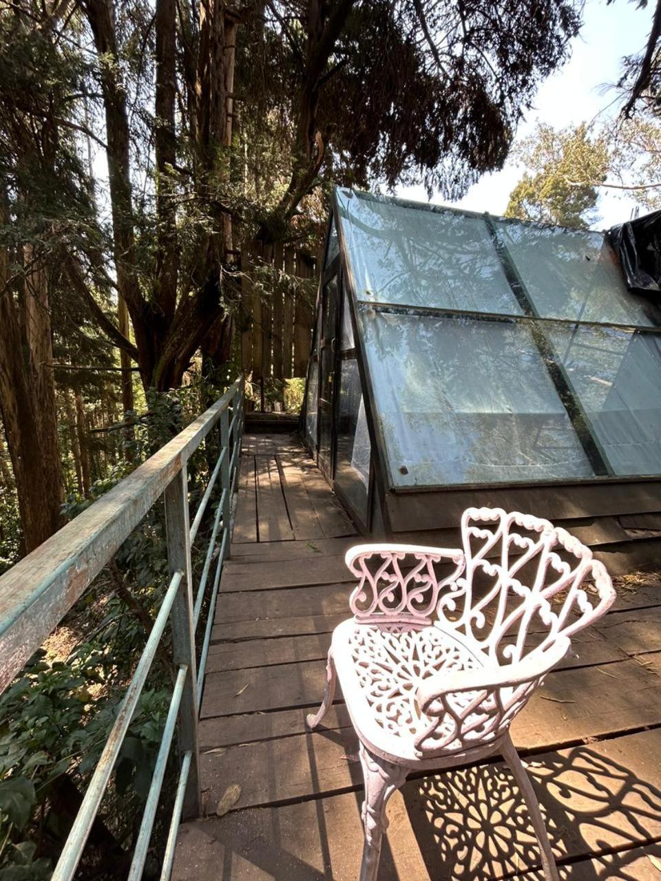 Hotel Woodhouse Ooty Exterior foto